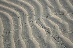 砂紋1